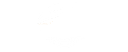The New Fly Fisher