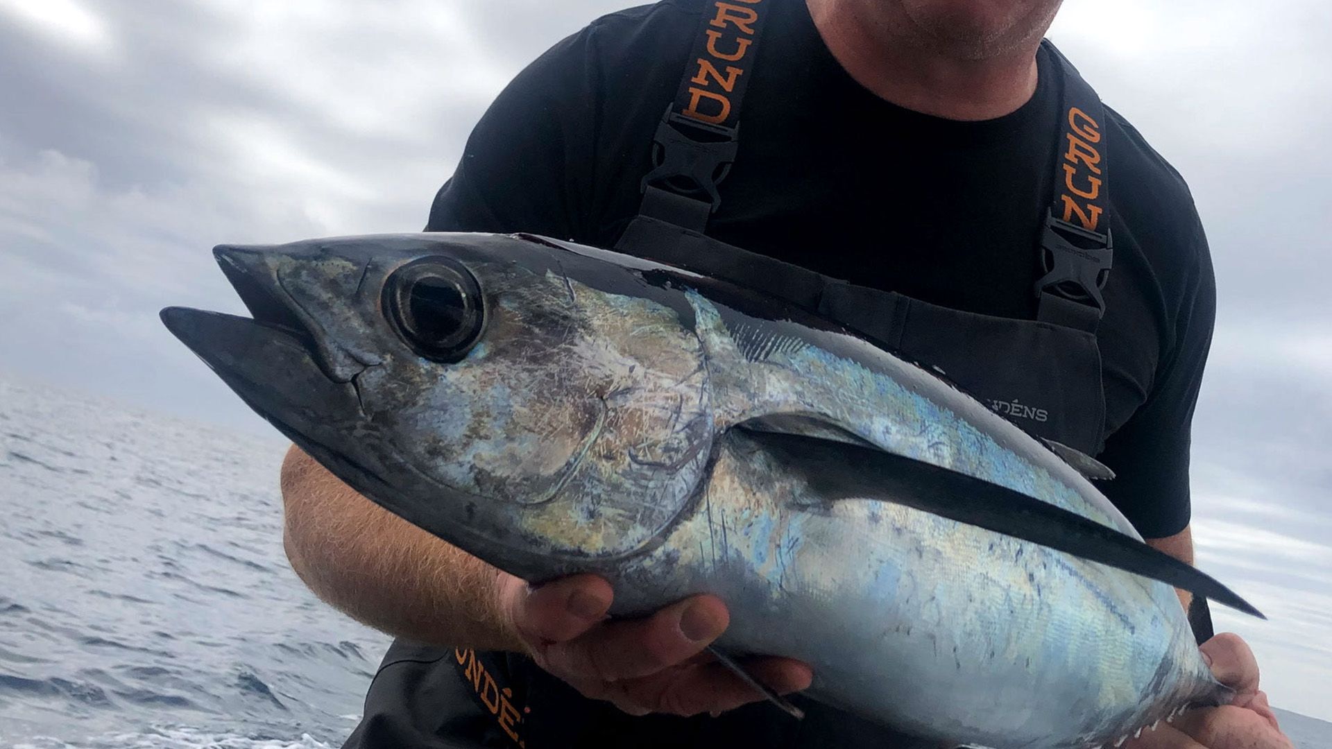 Bamfield Tuna Shootout