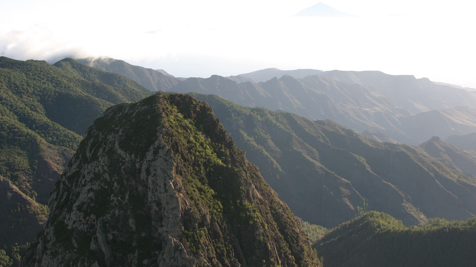 La Gomeras mystischer Nebelwald
