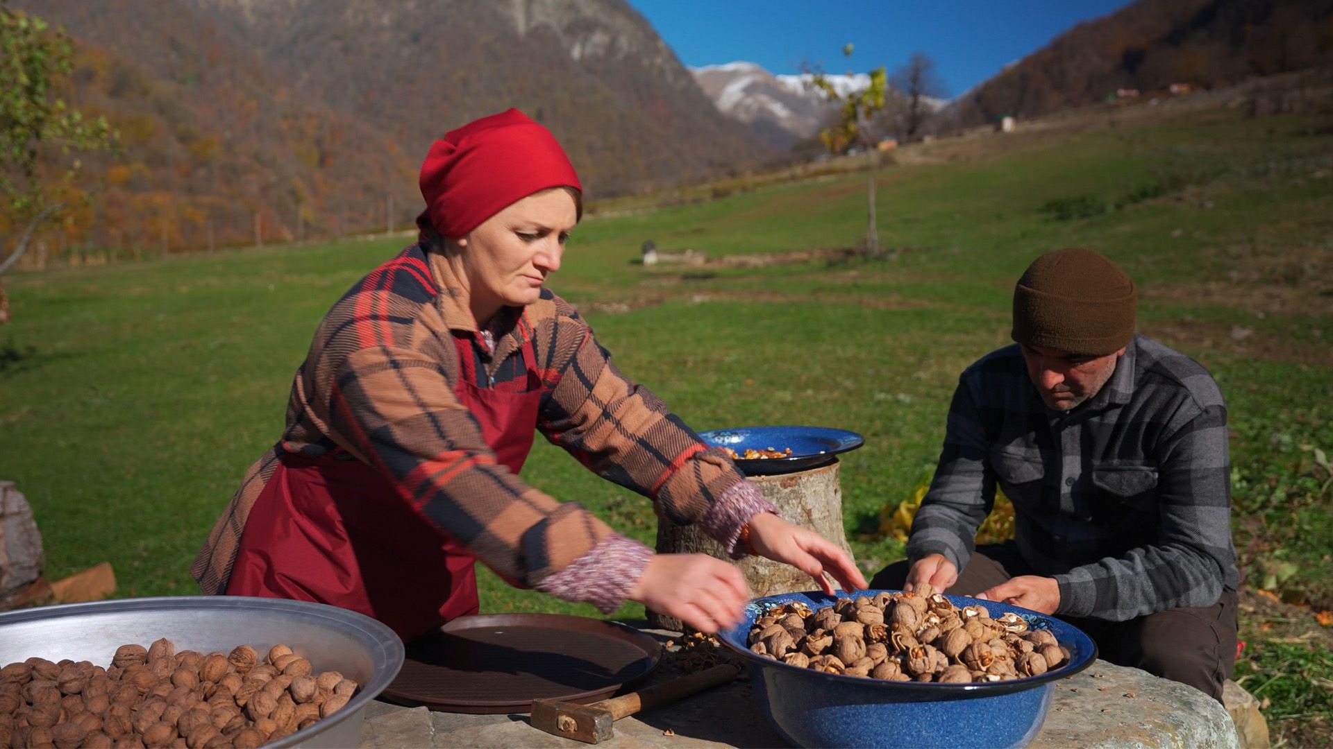 Walnüsse ernten und zubereiten