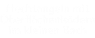 Hechtangeln mit Oberflächenködern im kleinen Bach