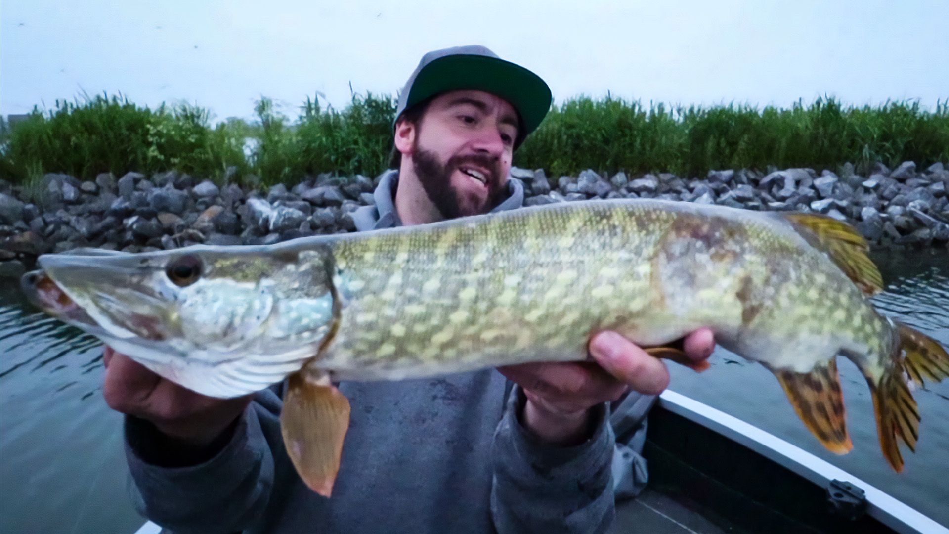 Killervögel greifen Angler an