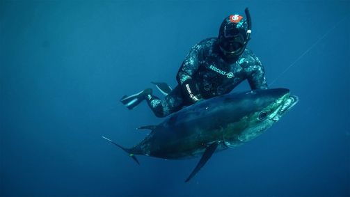 South Seas Spearo South Seas Spearo - Staffel 2 Folge 12: Just Another Fijian