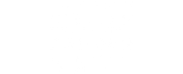An diesen Stellen fängst du jetzt Zander satt
