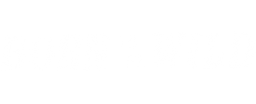 Born to Be Wild