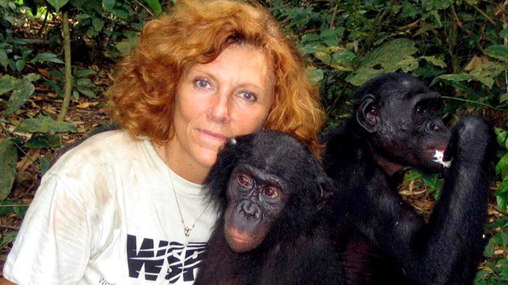 Die Mutter der Bonobos