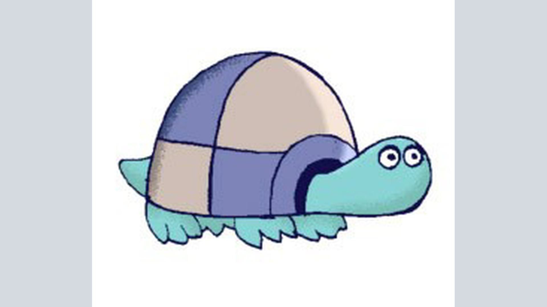 Tobi die Schildkröte