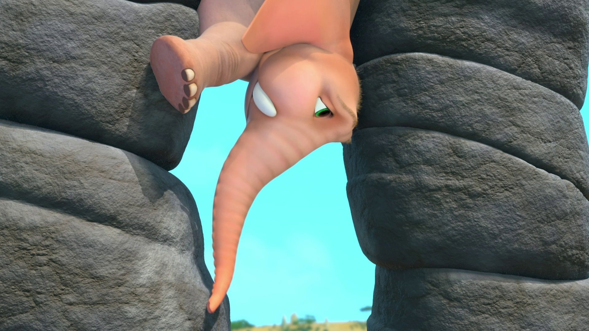 Cliffhanger/Boing Boing/Störung/Wilde Blume
