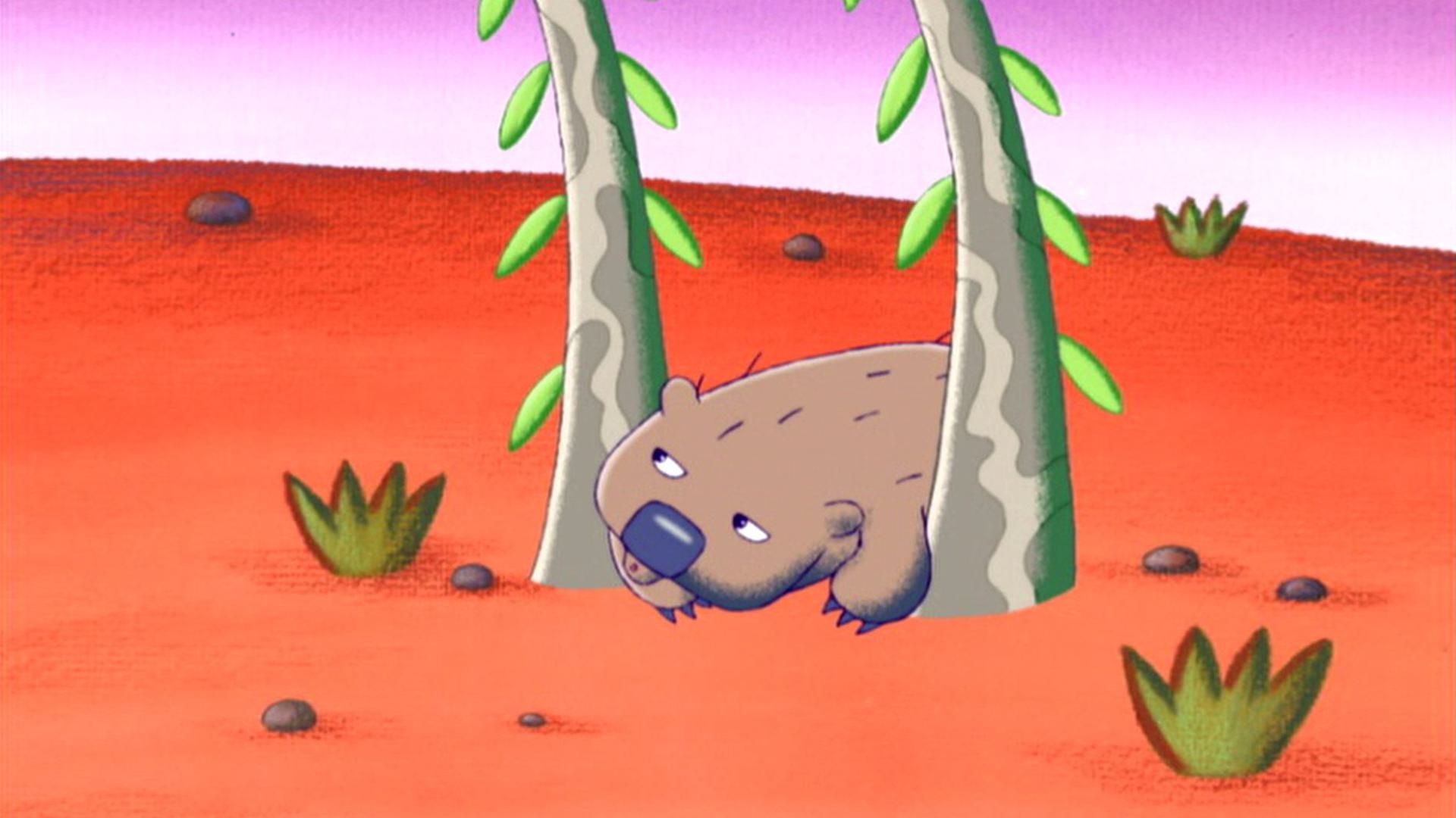 Willli der Wombat