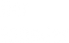 Der Fahnder