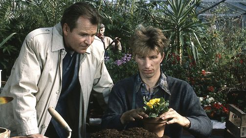 Derrick Derrick, Staffel 13 Folge 10: Tod am Waldrand