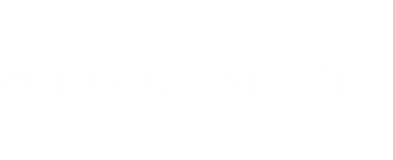 Zwei Asse & ein König