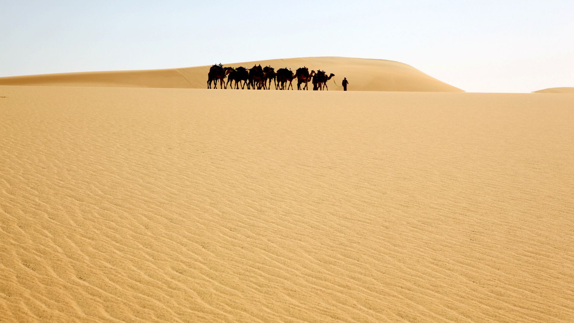 Die gelbe Sahara