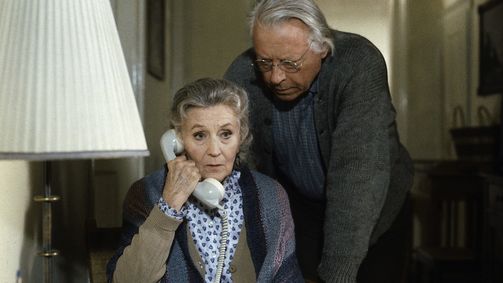 Derrick Derrick, Staffel 11 Folge 11: Eine Reihe von schönen Tagen