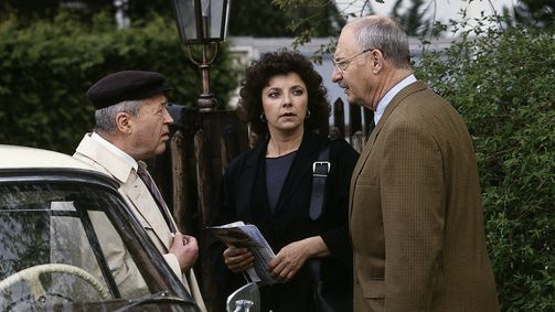 Der Alte Der Alte, Staffel 10 Folge 7: Der Absturz