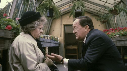 Der Alte Der Alte, Staffel 3 Folge 7: Der Gärtner
