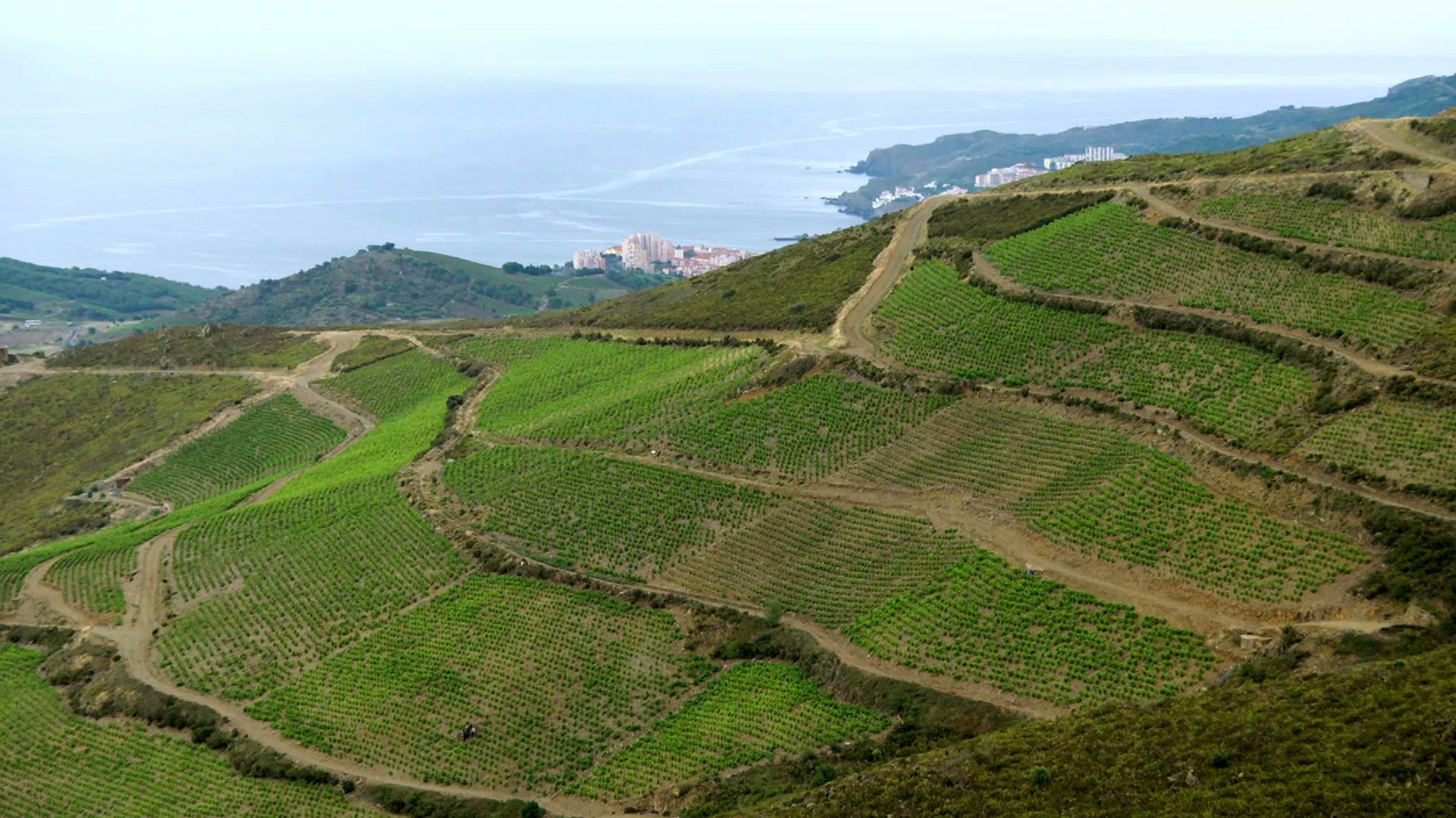 Vom Languedoc ins Roussillion