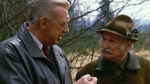 Derrick Derrick, Staffel 10 Folge 8: Ein eiskalter Hund