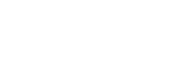 Zwei Himmelhunde im Wilden Westen