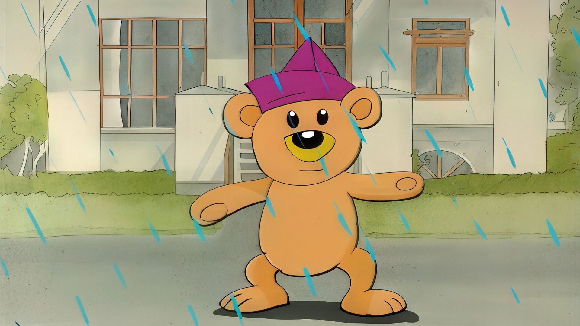 Teddy 18