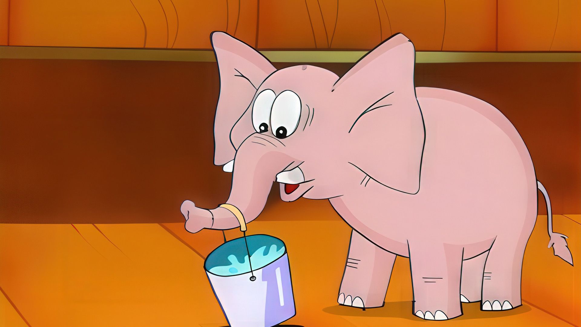Elefant 18