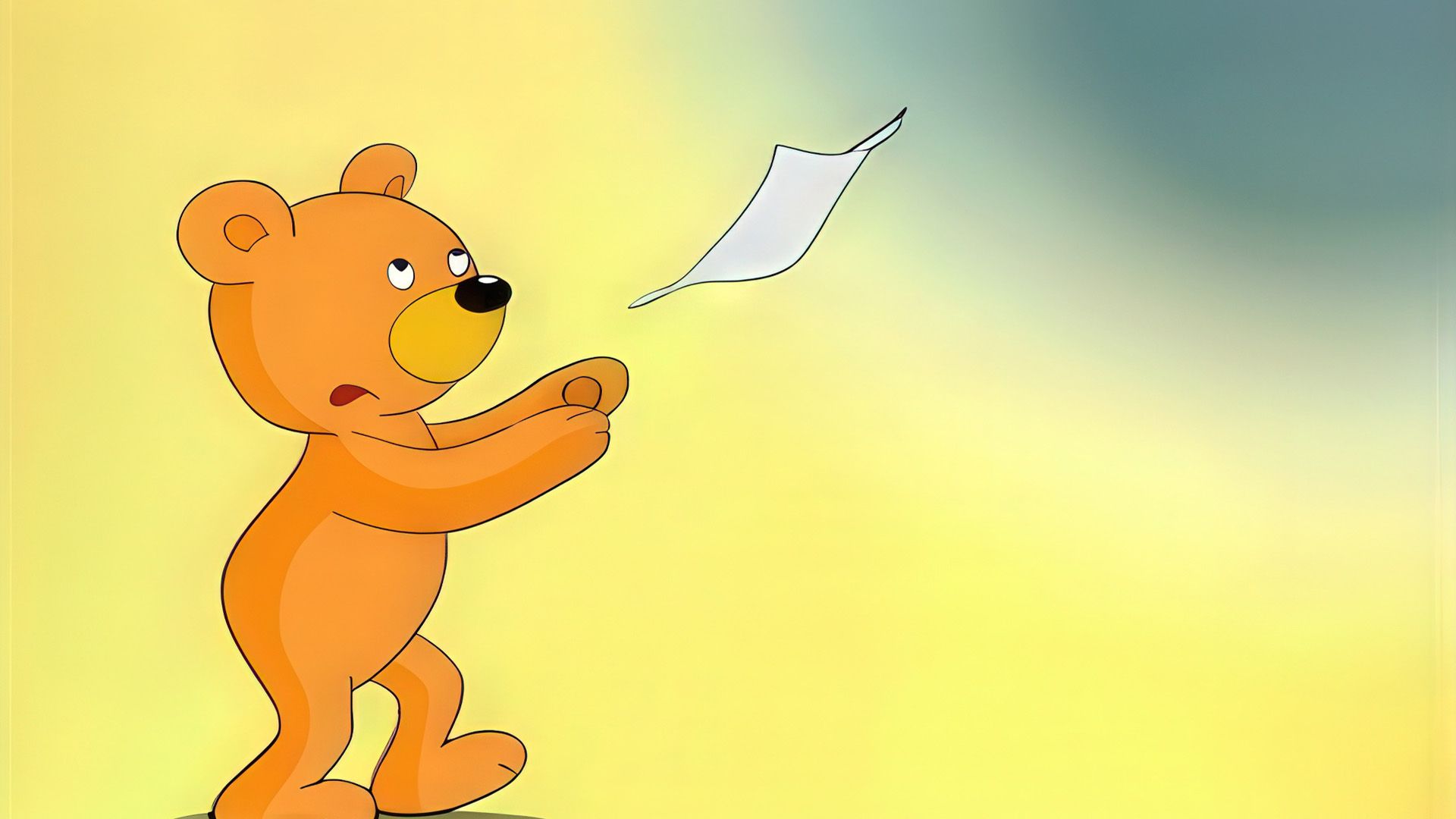 Teddy 40