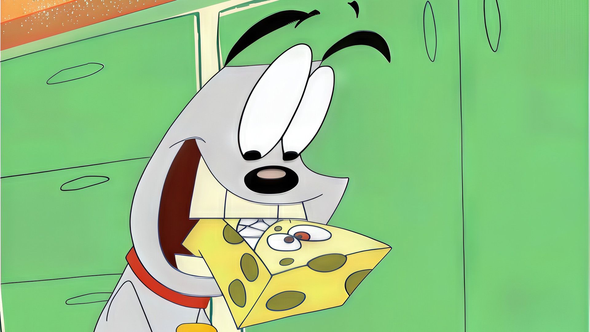 Der Gummikäse