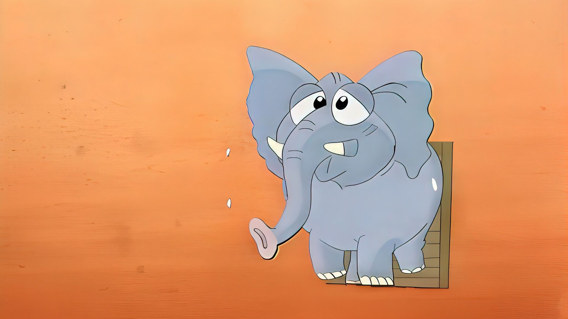 Elefant 04