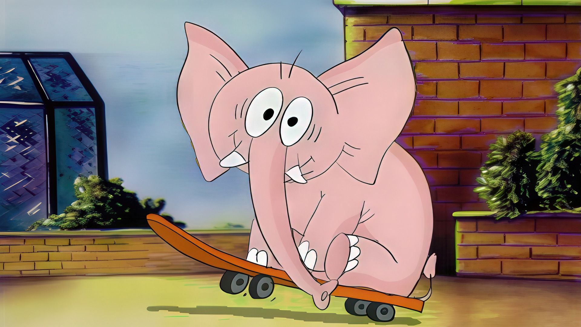 Elefant 14