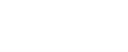 Bussi Riot
