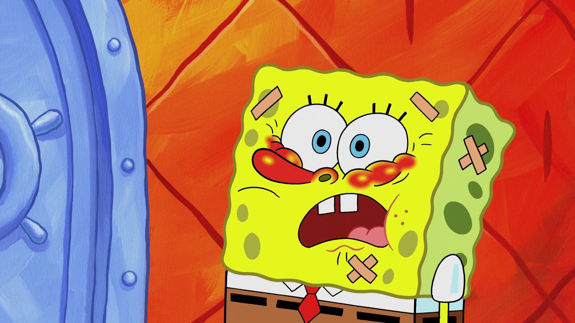 Hausallergie / SpongeBob wird ärztlich