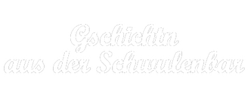 Gschichtn aus der Schwulenbar