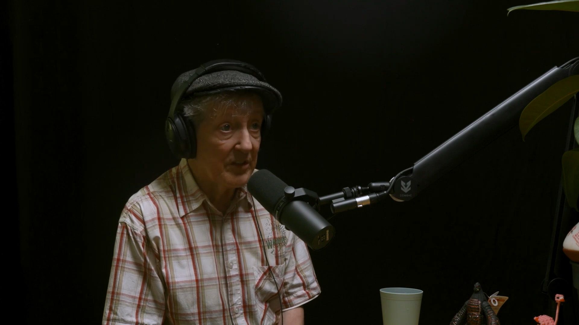 Santiago Ziesmer - Spongebob, Die Stimme einer Generation