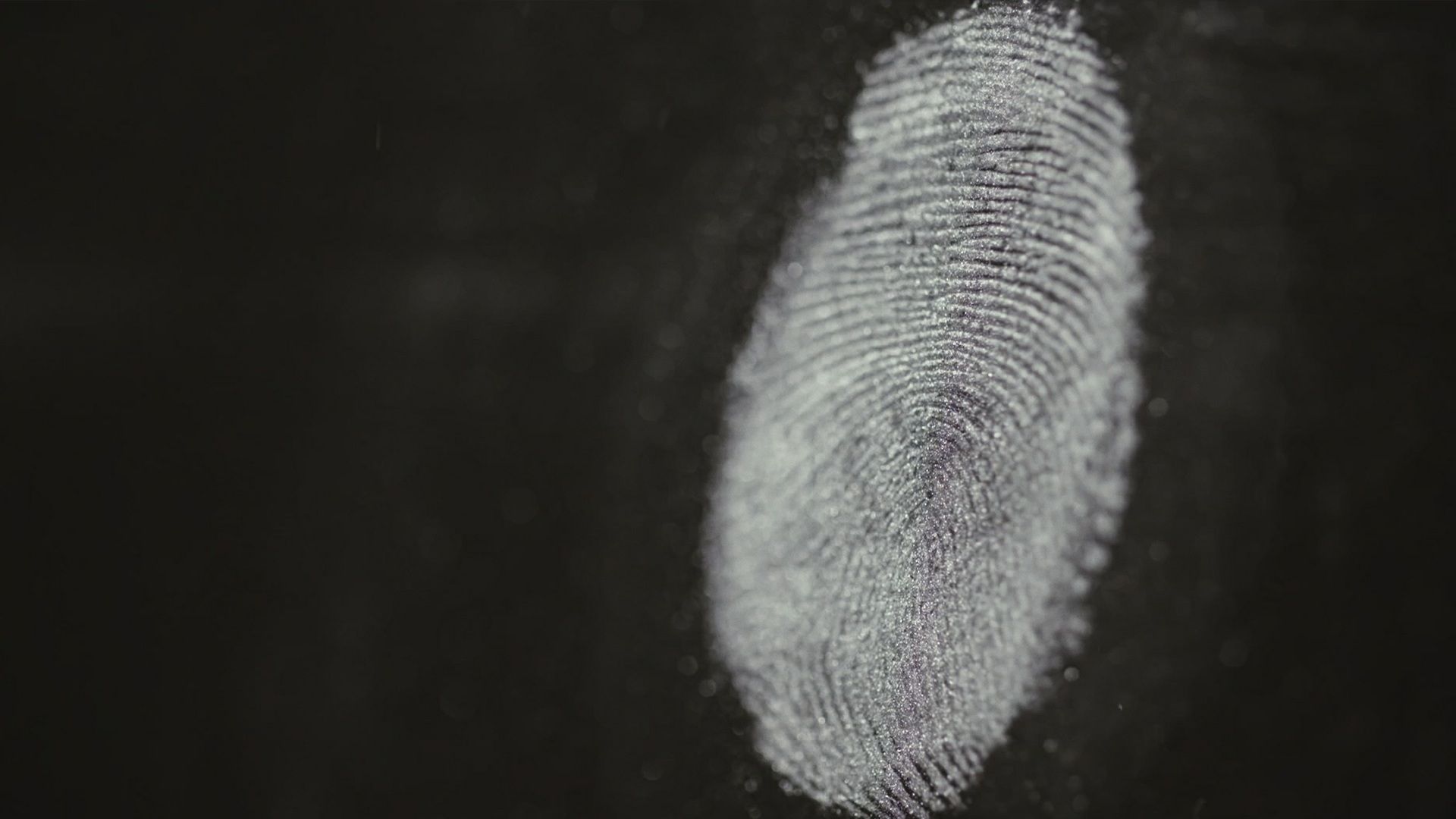 Genetischer Fingerabdruck