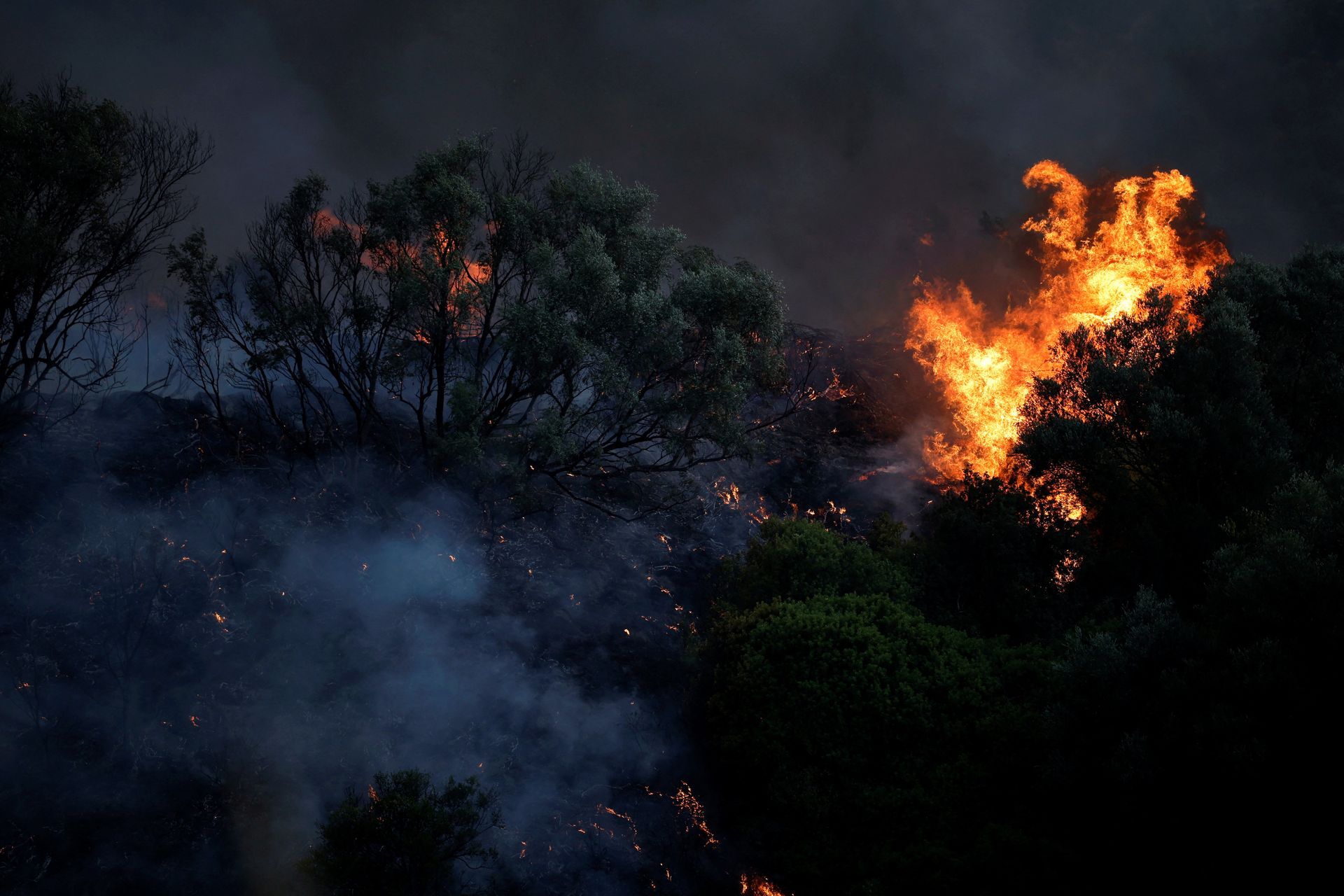 Südeuropa kämpft gegen Waldbrände an