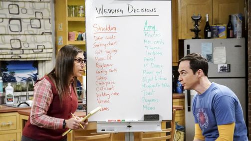 The Big Bang Theory The Big Bang Theory Folge 10: Das Hochzeitsplanungs-System