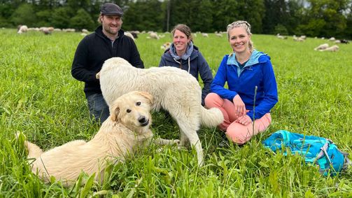 landuf, landab landuf, landab Folge 4: Hunde, Biker und ein Food-Tüftler: Unterwegs im Züri Oberland 