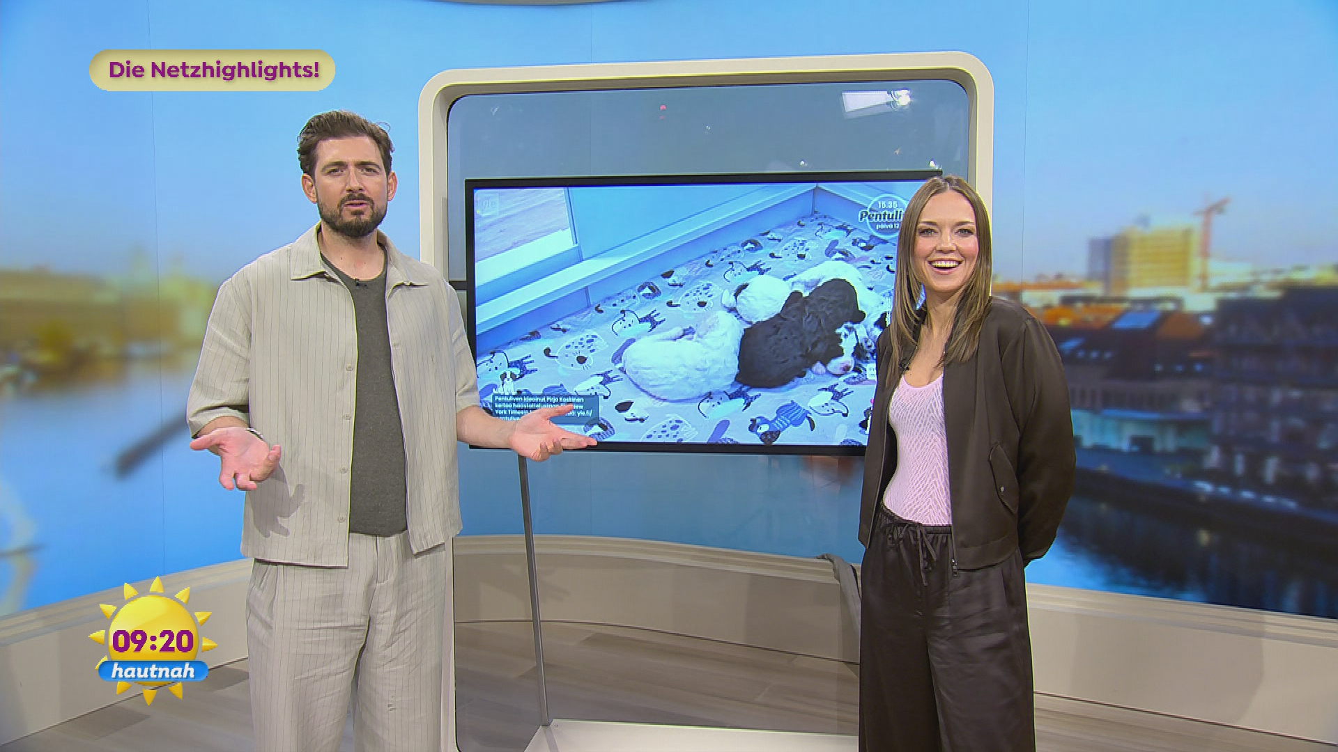 Netzhighlights: Welpen-Livestream und Karens Parkour-Performance