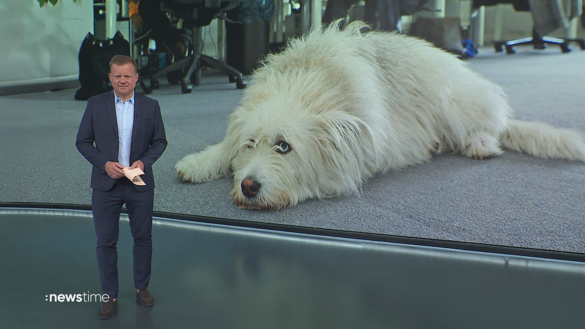 :newstime vom 11. Juni 2026 | 19:45