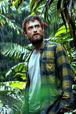 Jungle