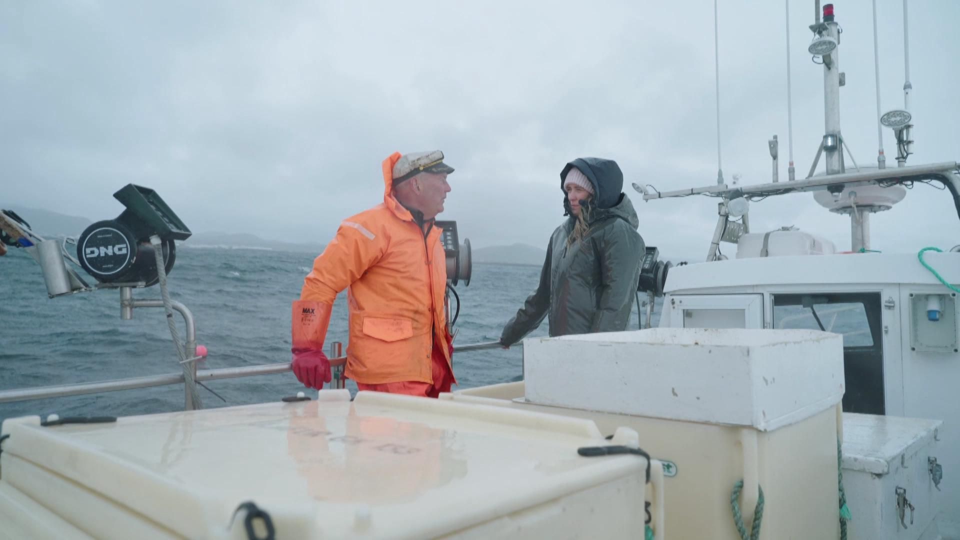 Stimmt Island für die Europäische Union?
