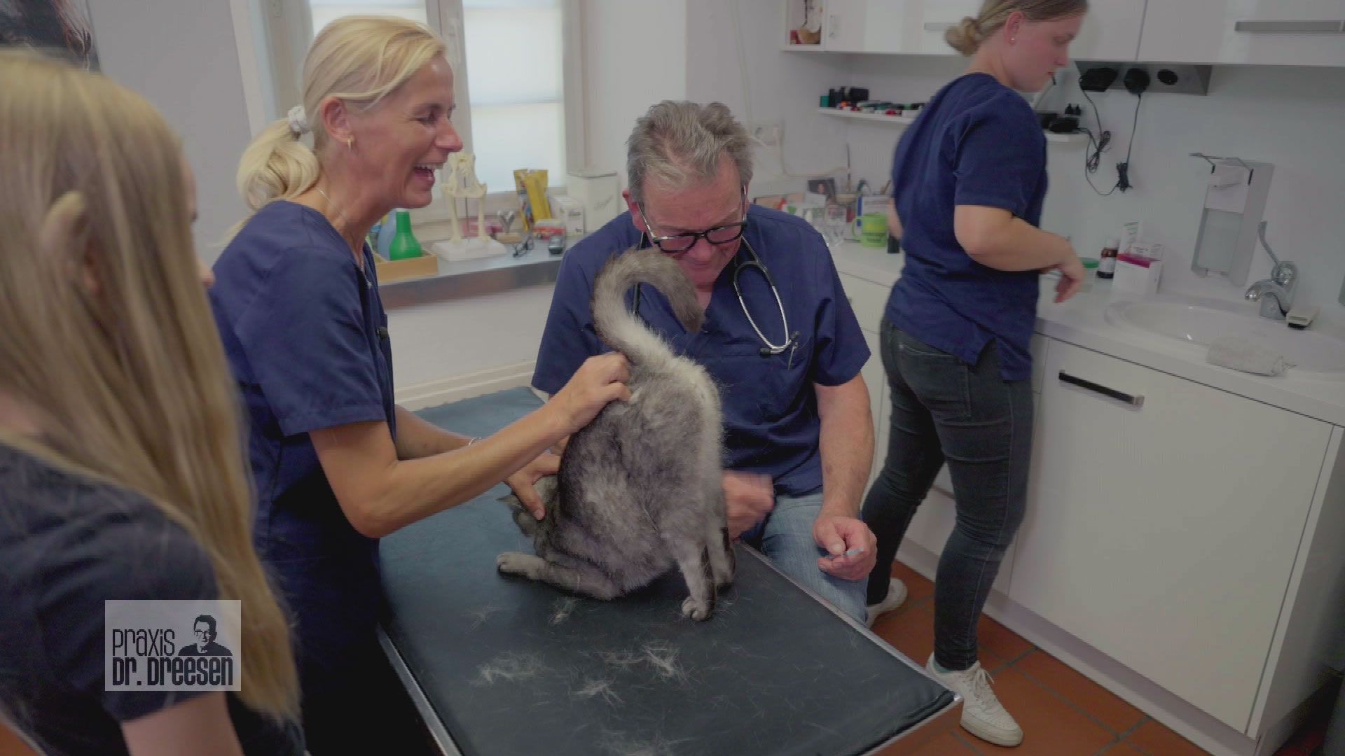 Kater Nicki begeistert mit seinen Kunststücken