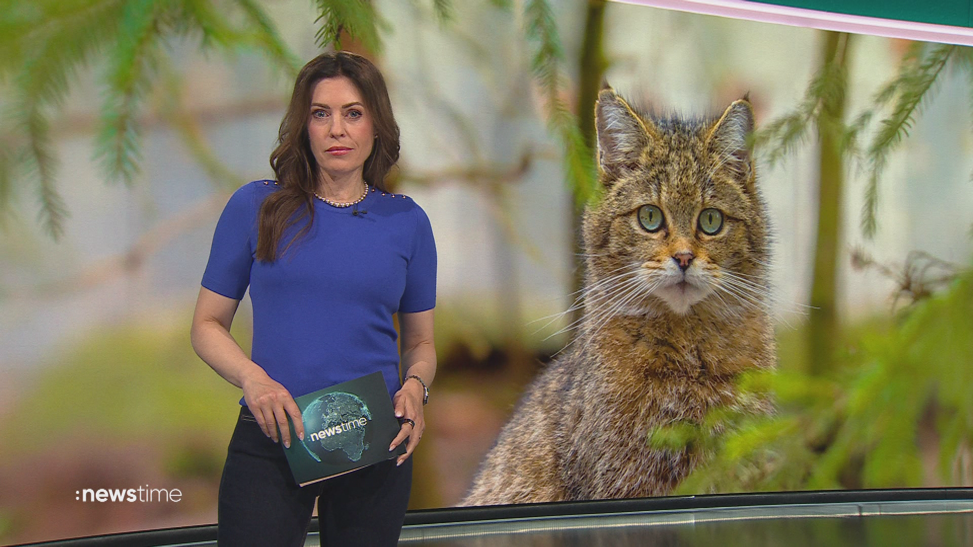 :newstime vom 24. April 2026 | 18:00