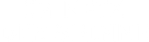 Im Netz der Spinne