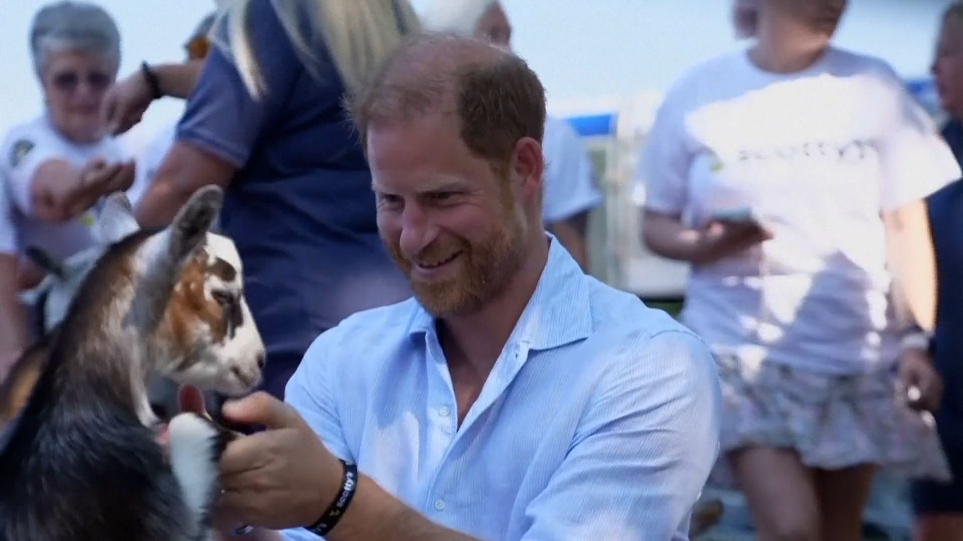So locker sieht man Prinz Harry selten: Royal macht Ziegen-Yoga