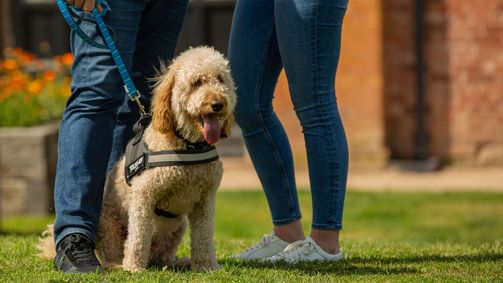Unsere Hundeschule Unsere Hundeschule Folge 1: Episode 1