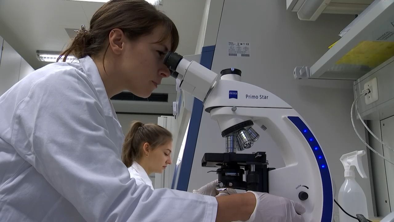 Milliarden für Bayerns Unikliniken: Freie Wähler fordern Investitionen