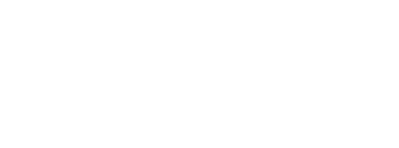 G20