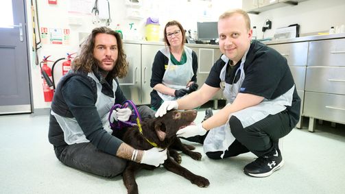 Pete Wicks - Aus Liebe zu Hunden Pete Wicks - Aus Liebe zu Hunden Folge 1: Mops Murphy in Not
