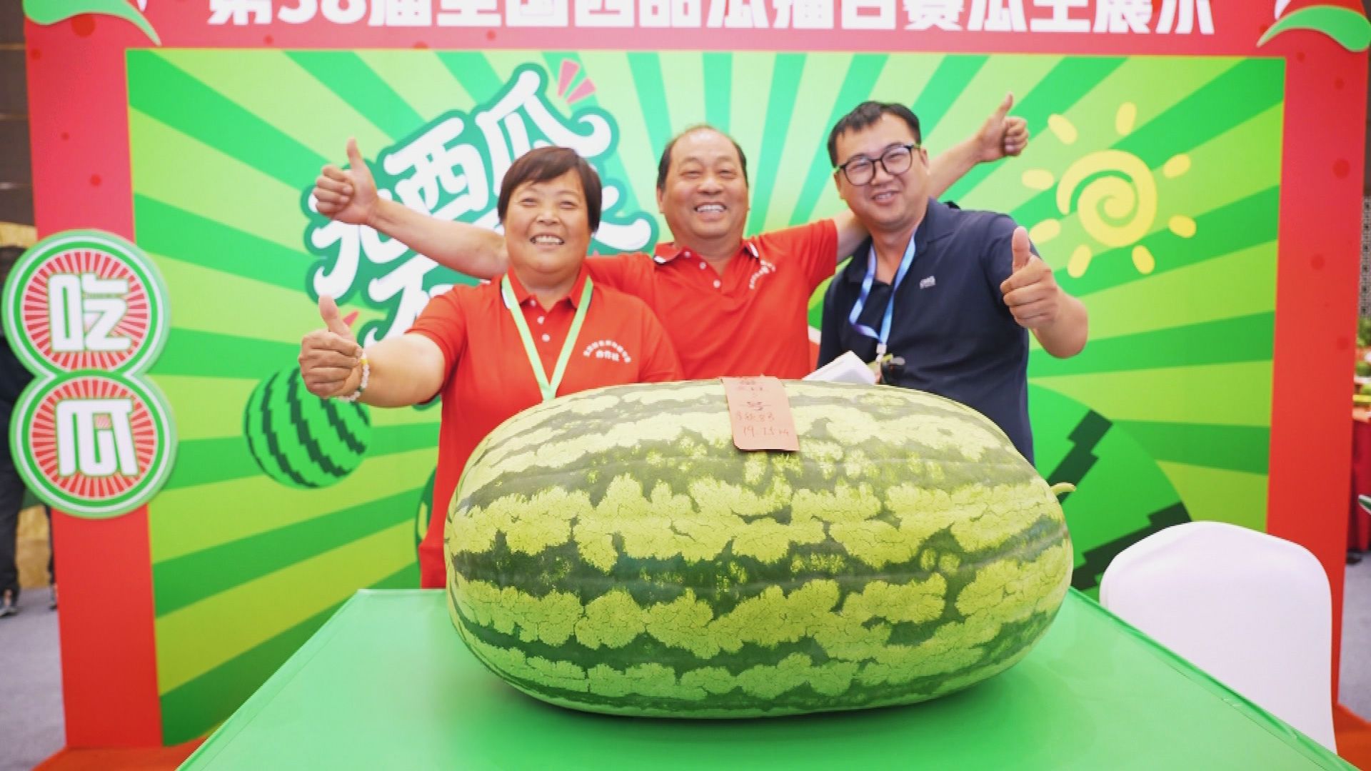 XXL-Melone: Zu Besuch beim verrücktesten Ernte-Wettbewerb der Welt